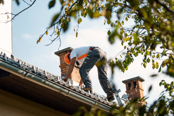 Roof Gutter Cleaning in La Villa, TX