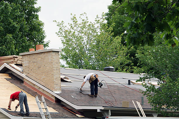 Best Roof Repair Services  in La Villa, TX