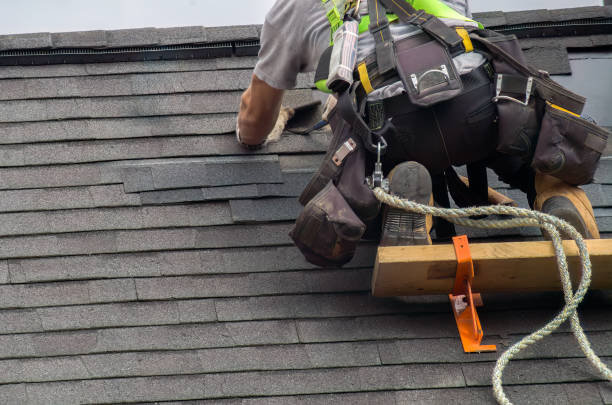 Best Storm Damage Roof Repair  in La Villa, TX