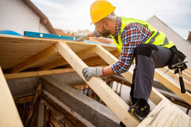 Best Local Roofing Companies  in La Villa, TX