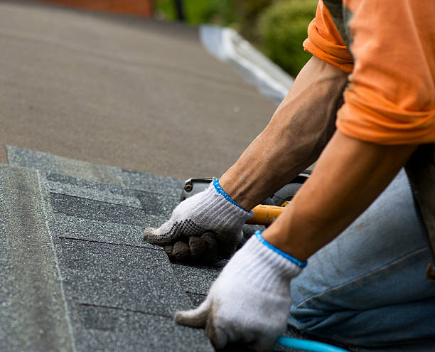 Best Roof Leak Repair  in La Villa, TX