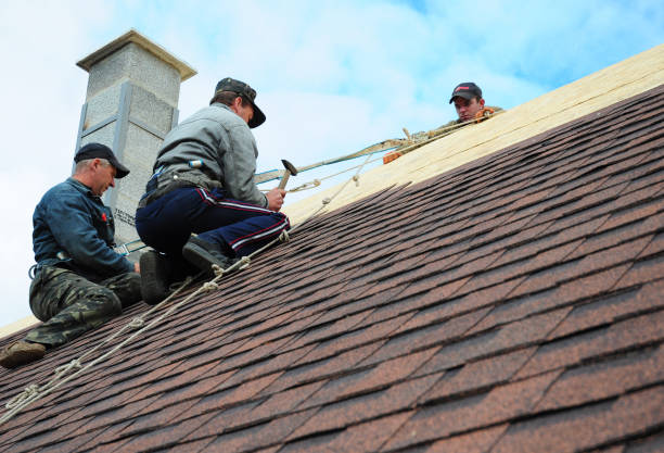 Best Commercial Roofing Services  in La Villa, TX
