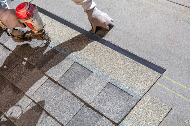 Best Flat Roof Repair Services  in La Villa, TX